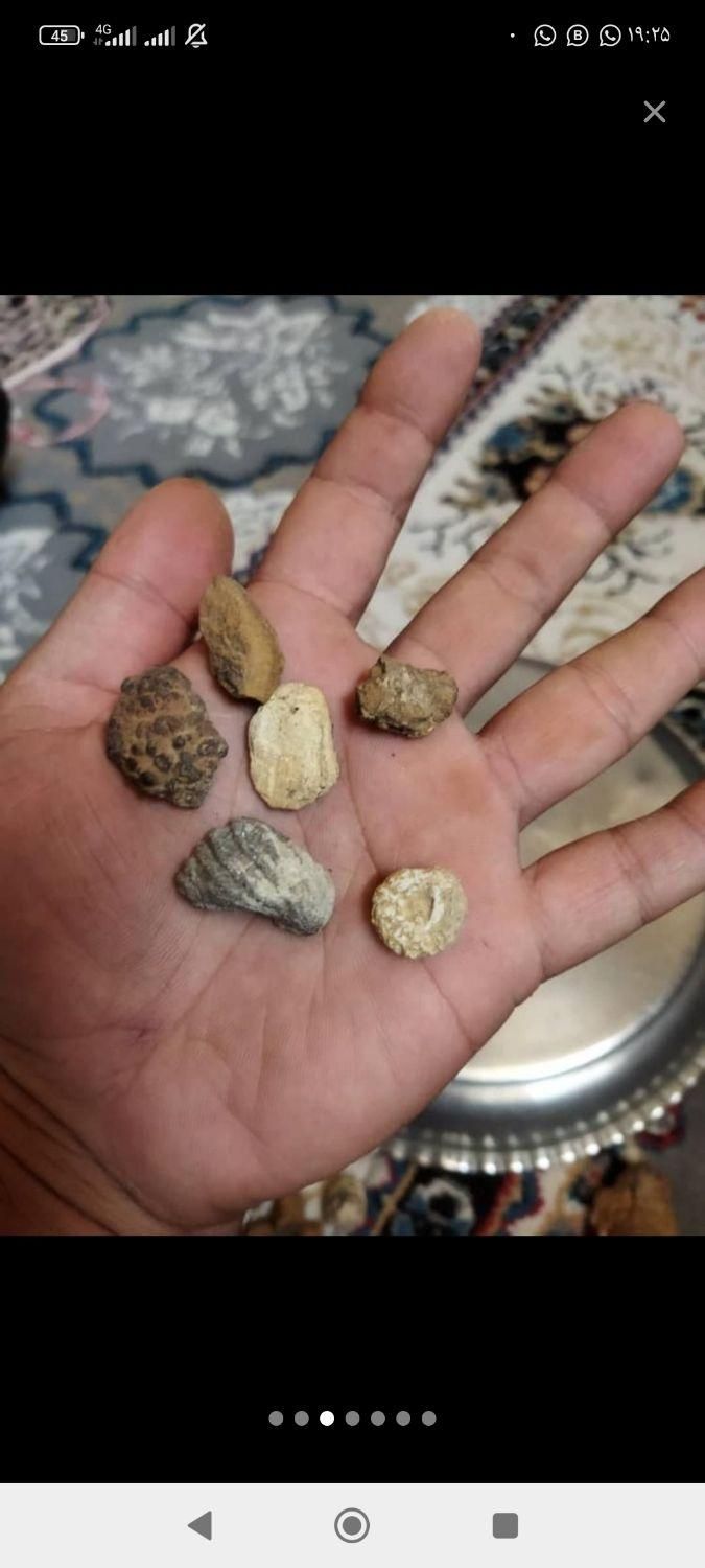 شهاب سنگ|کلکسیون اشیاء عتیقه|شیراز, هفت تنان|دیوار