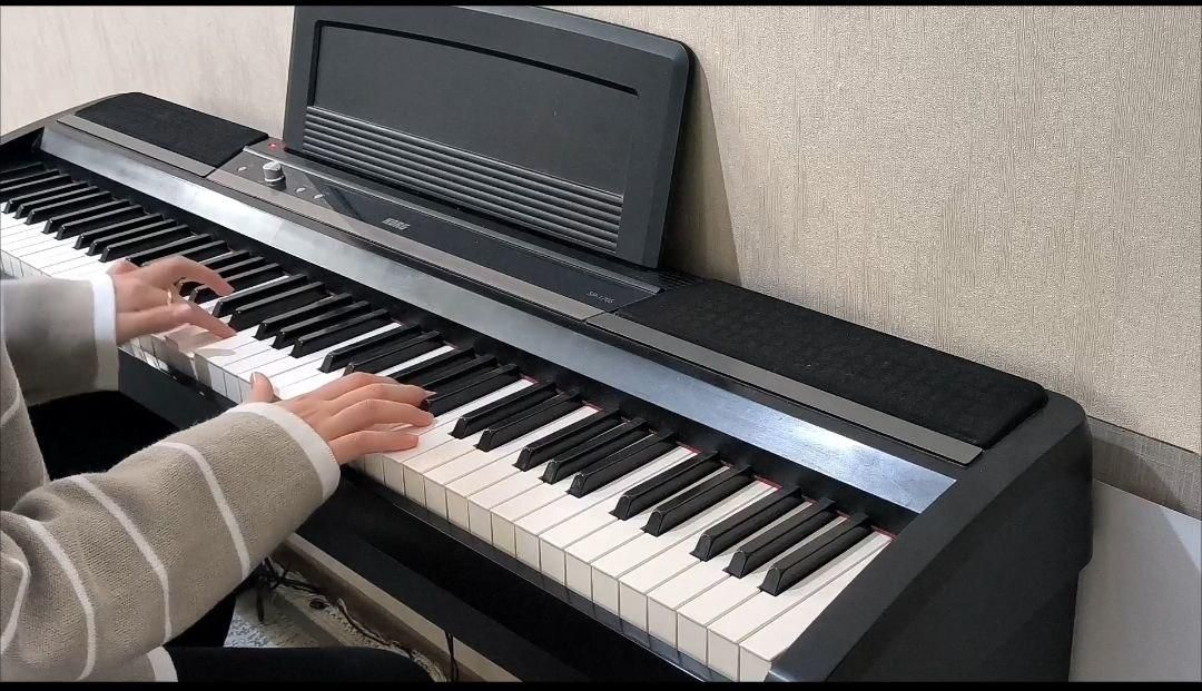 پیانو دیجیتال korg|پیانو، کیبورد، آکاردئون|گلستان (تهران), |دیوار