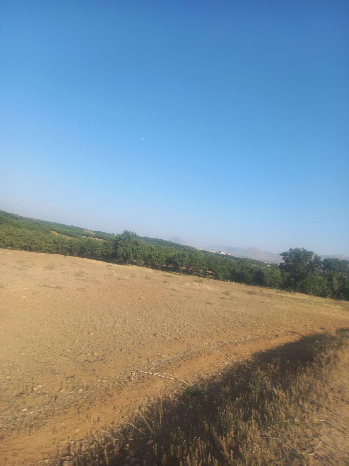 زمین با سهمیه آب پمپاژ و قنات|فروش دفتر صنعتی، کشاورزی، تجاری|سامان, |دیوار