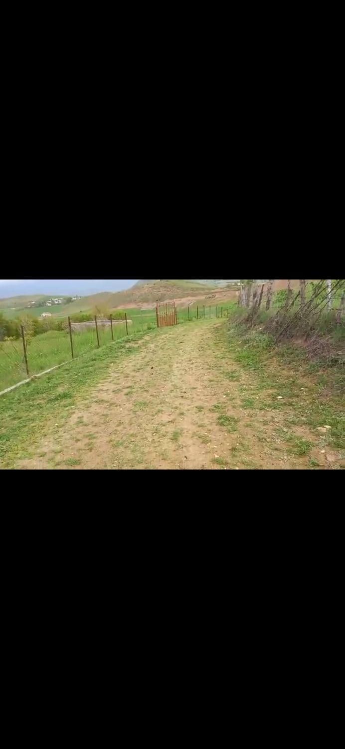 10000هزار متر زمین کشاورزی سند دار|فروش زمین و ملک کلنگی|دیلمان, |دیوار