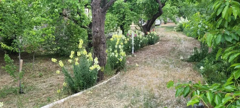 ۱۲۰۰متر باغویلا ۱۵۰ متر بنای قدیمی سند بکه شهریار|فروش خانه و ویلا|وحیدیه, |دیوار