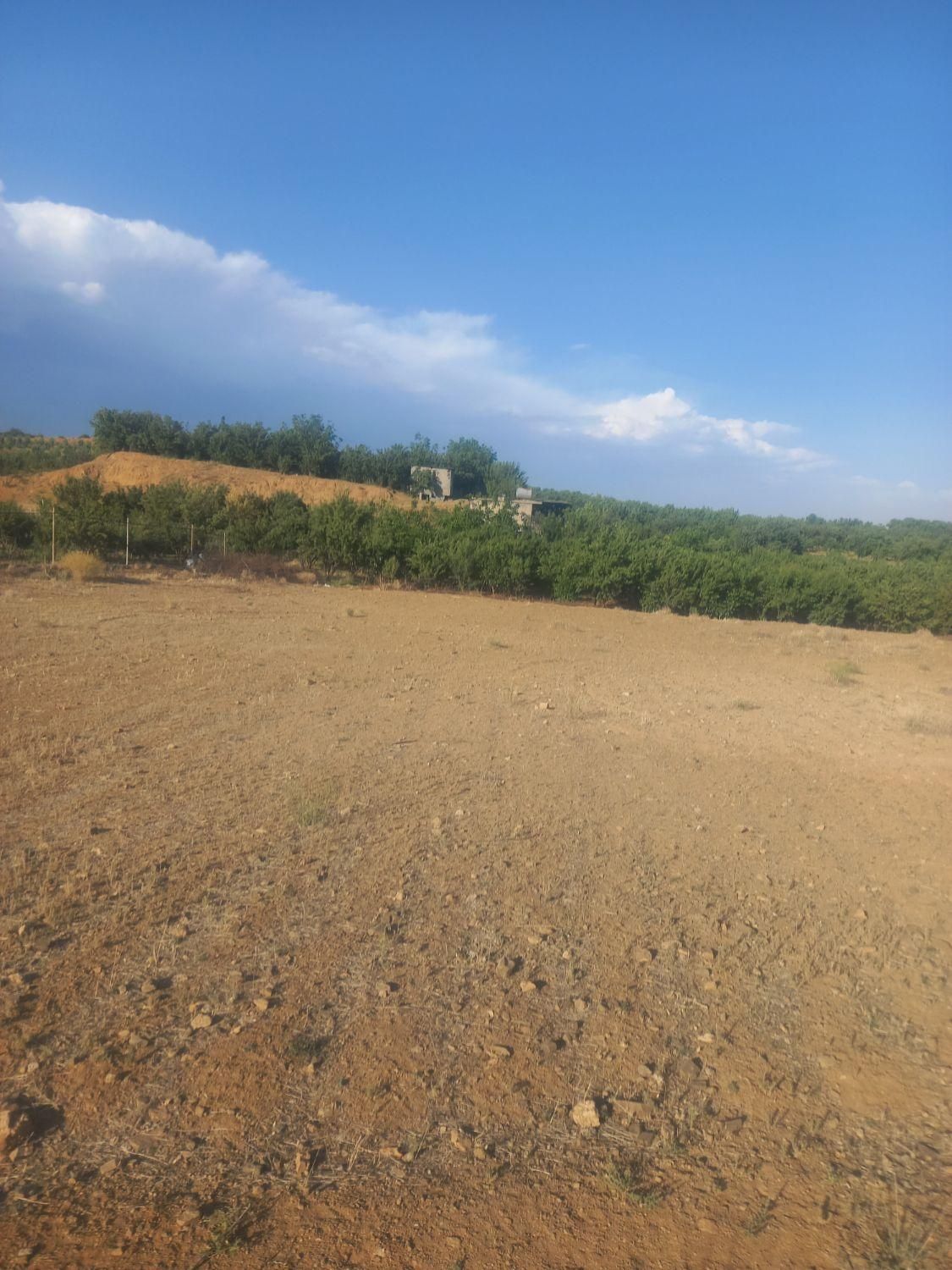 زمین با سهمیه آب پمپاژ و قنات|فروش دفتر صنعتی، کشاورزی، تجاری|سامان, |دیوار