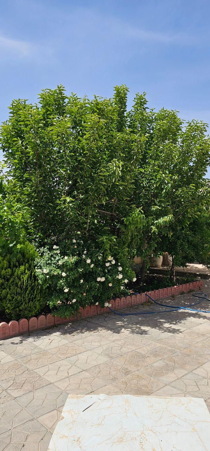 باغ ویلاسندتکبرگ کنتورآب برق گازشهری منطقه ویلایی|فروش خانه و ویلا|هشتگرد, شهرک راه آهن|دیوار