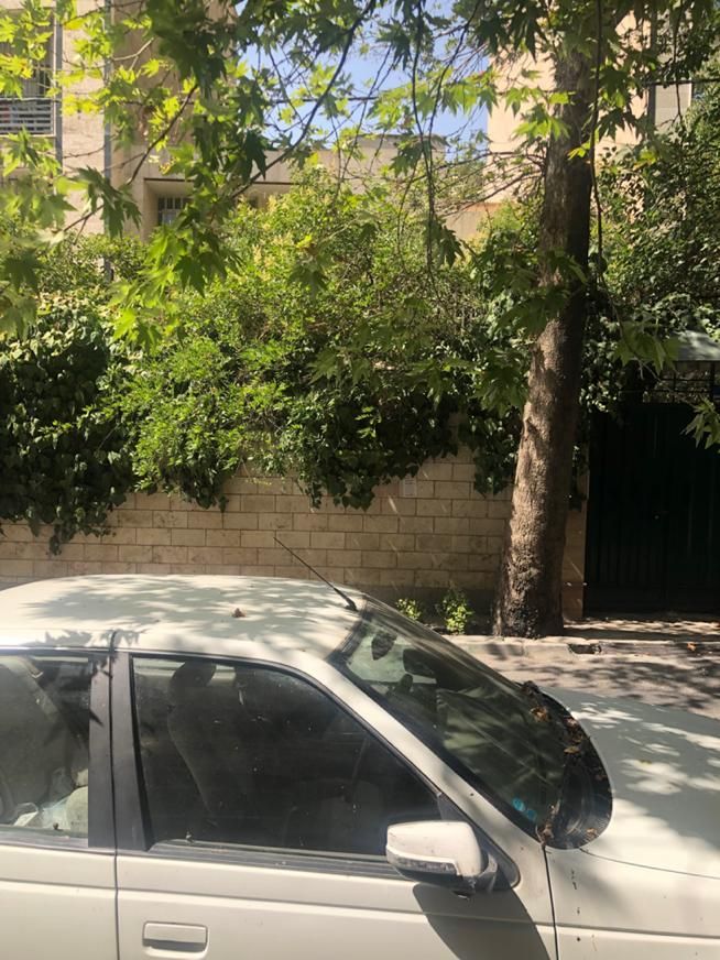 پاسداران ۱۹۴۰ مترکلنگی|فروش زمین و ملک کلنگی|تهران, پاسداران|دیوار