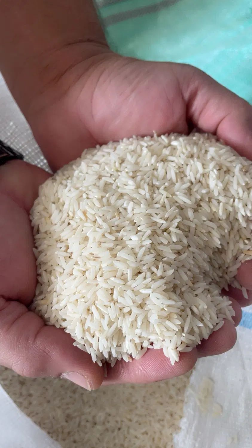 برنج هاشمی درجه یک ممتاز و سرلاشه همون برنج|خوردنی و آشامیدنی|مشهد, فرهنگ|دیوار