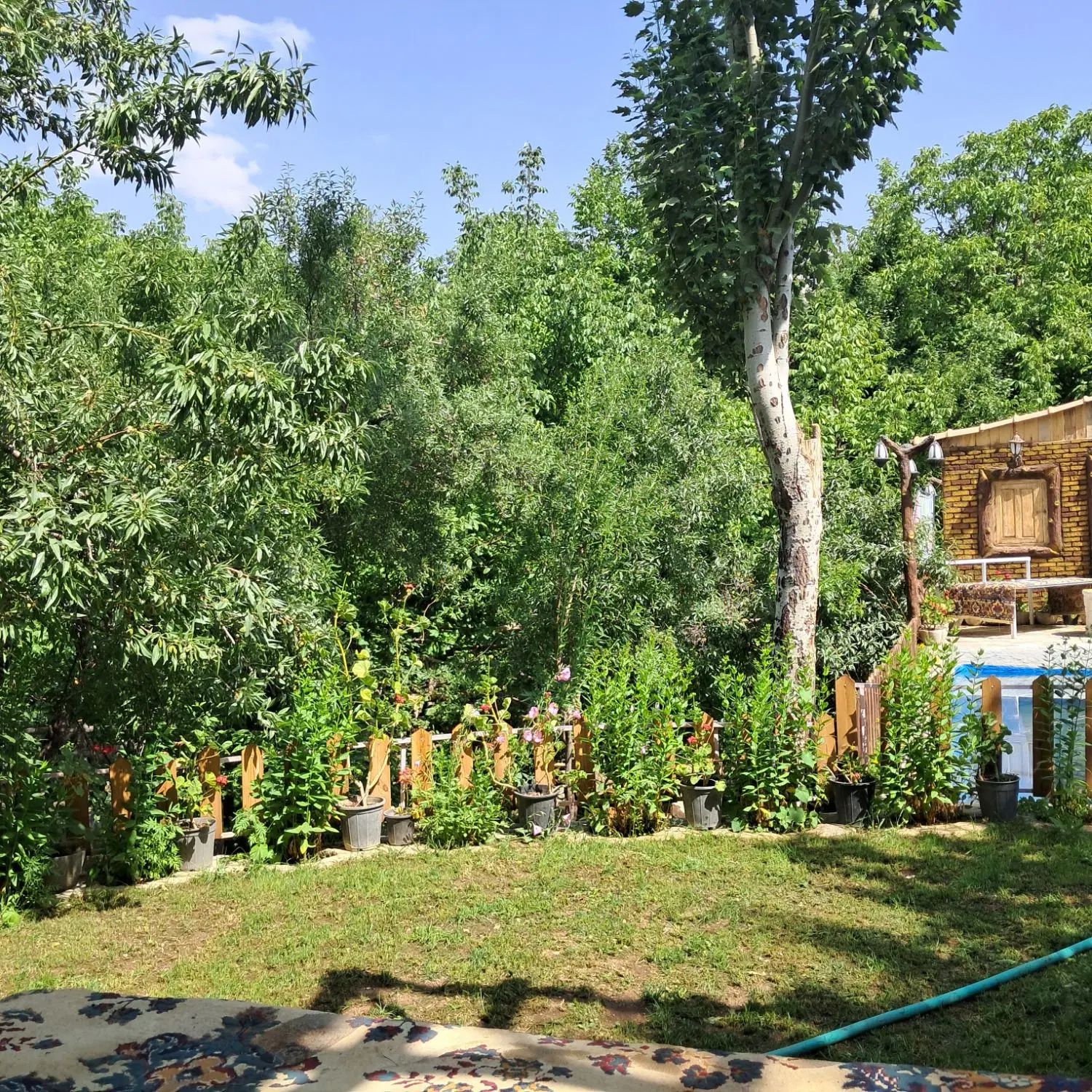 خونه باغ روزانه ویلایی دهبالا ۹۰ متری جای دنج|اجارهٔ کوتاه‌مدت ویلا و باغ|یزد, |دیوار