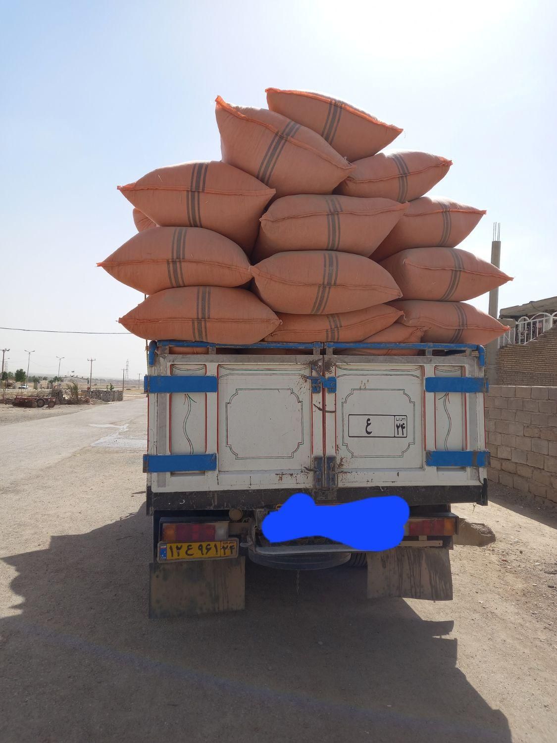 کاه|خدمات باغبانی و درختکاری|شوشتر, |دیوار