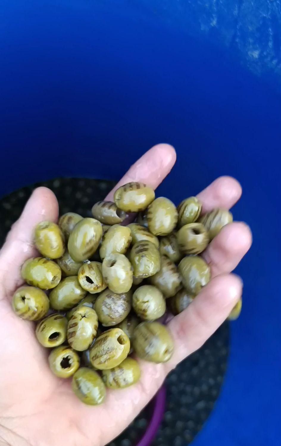 زیتون کبابی|خوردنی و آشامیدنی|چورزق, |دیوار