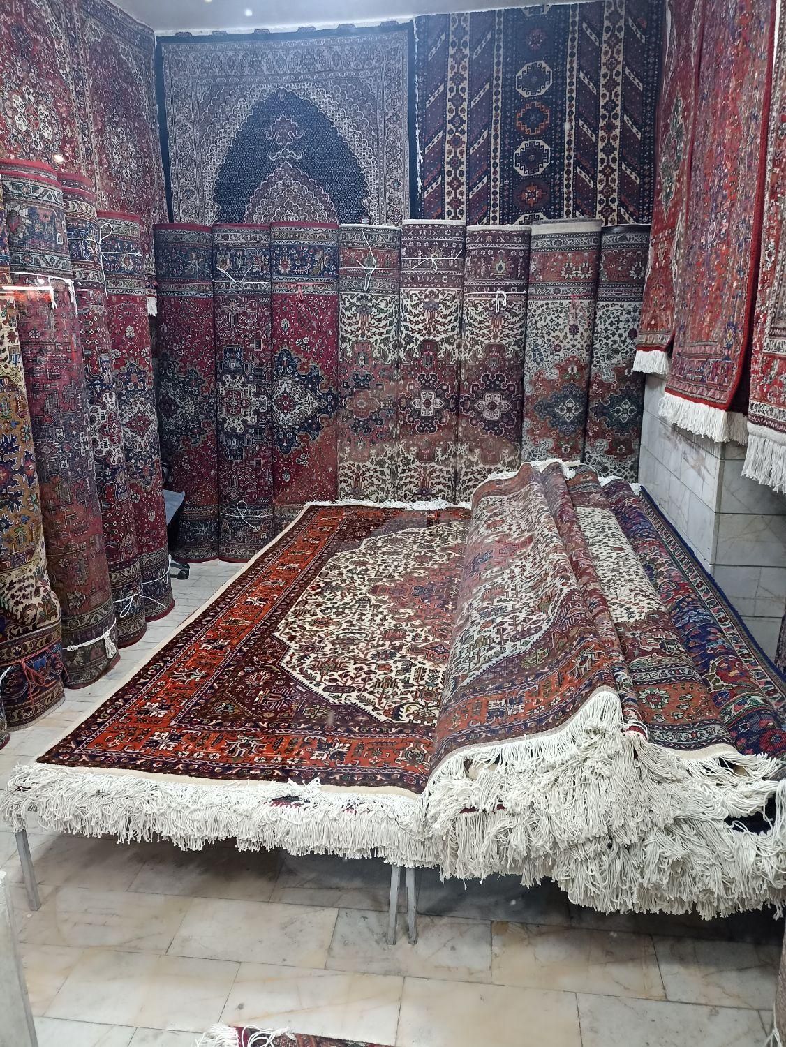 گالری فرش دستباف گلوانی نصف نقد نصف اقساط|فرش|خوی, |دیوار