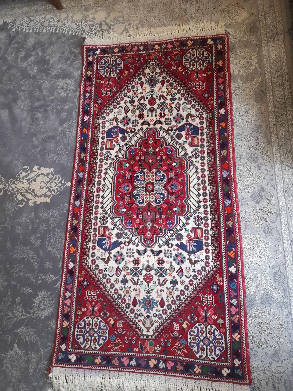 فرش دستبافت ۱۹ تومن و جاجیم دست بافت ۷تومن|فرش|شیراز, فرهنگ شهر|دیوار