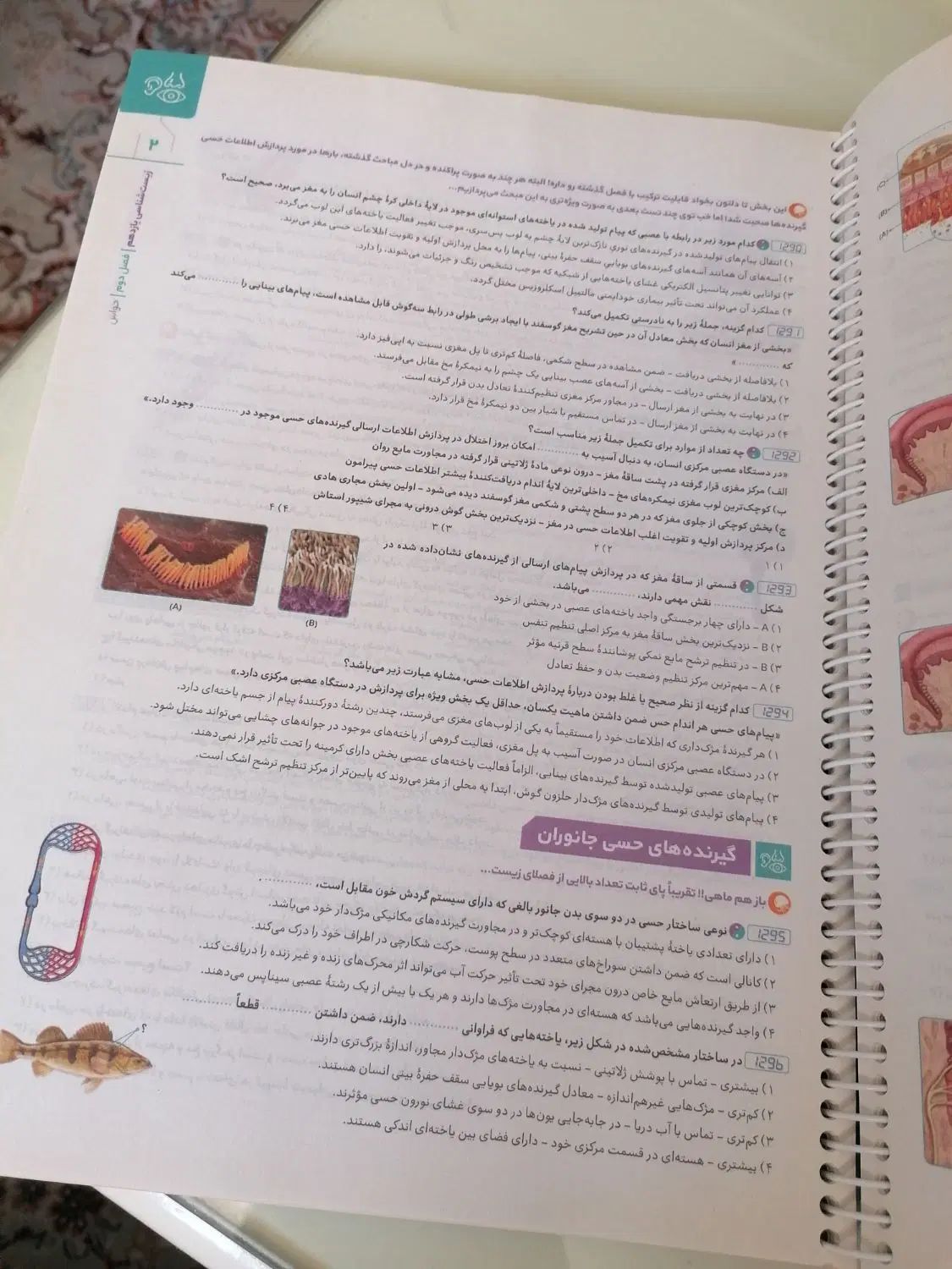 دوجلد کتاب زیست ویژه کنکور جامع انتشارات گاج 3پایه|کتاب و مجله آموزشی|شیراز, رکن‌آباد|دیوار