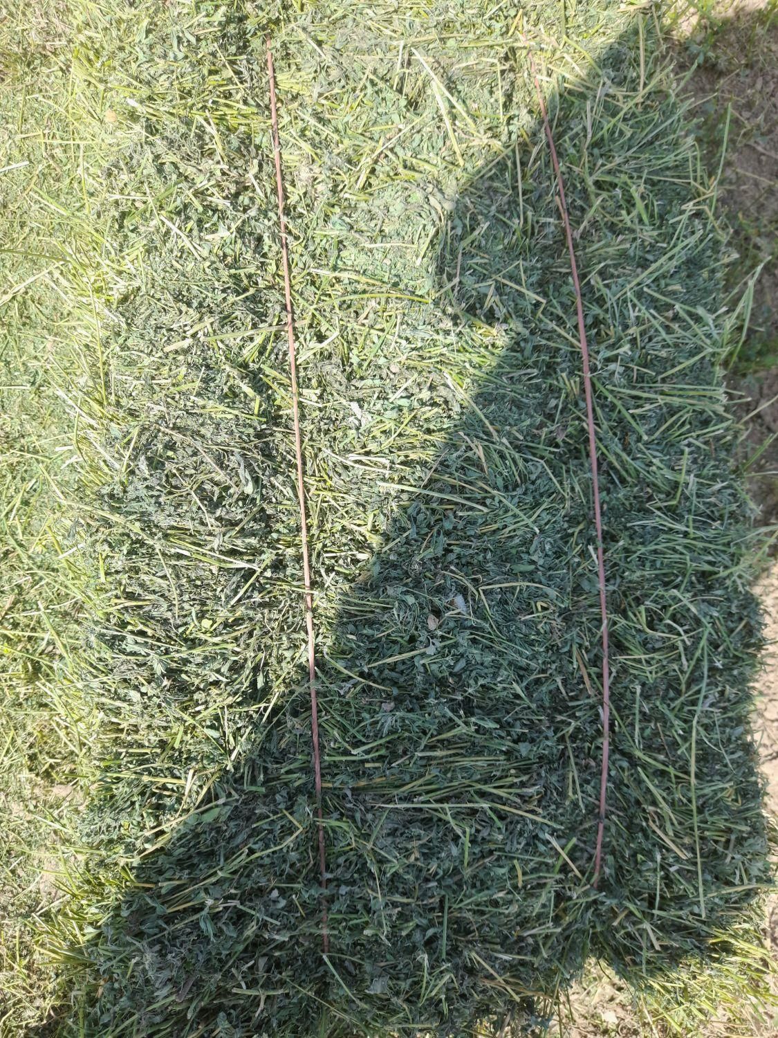 خار، کاه، پرس|لوازم جانبی حیوانات|مشهد, شهرک شهید باهنر|دیوار