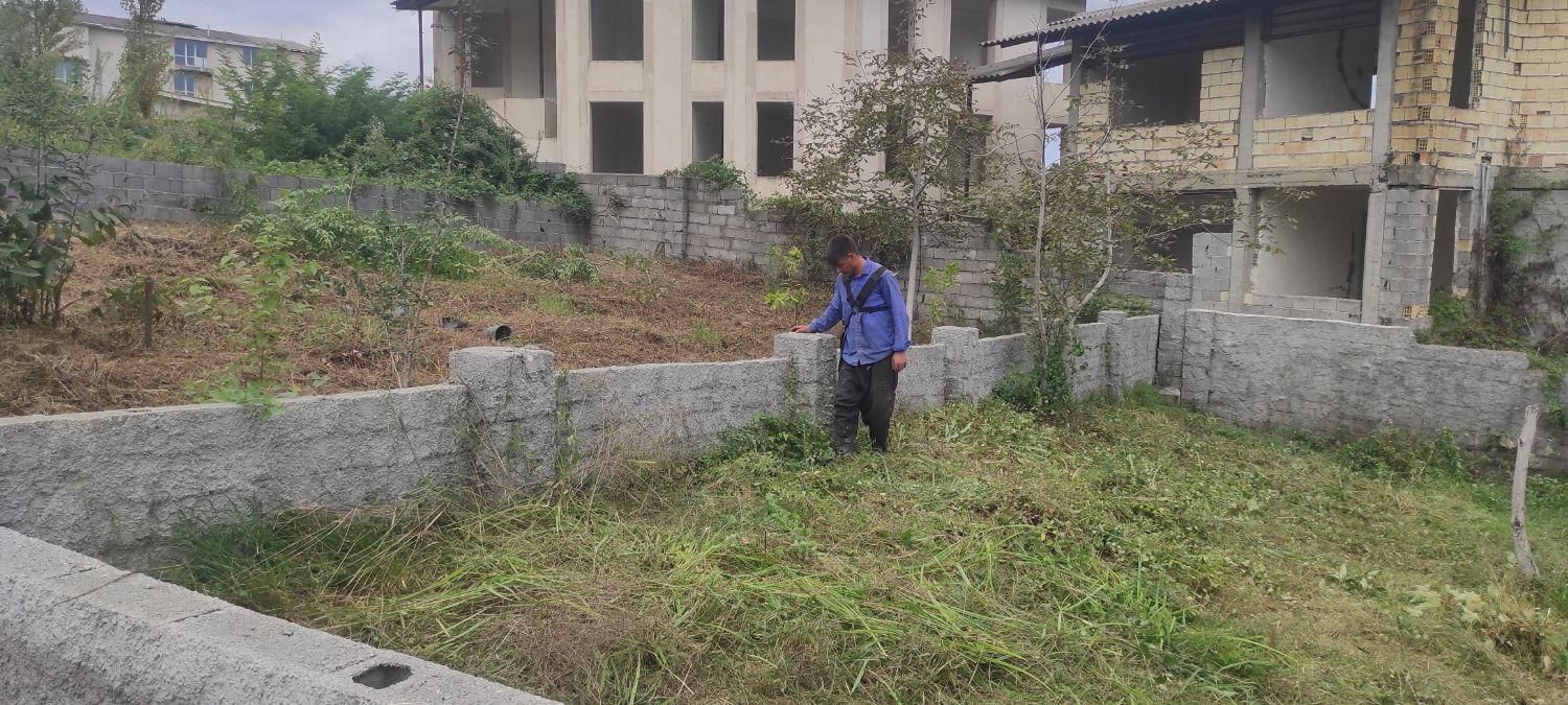 زمین،بافت باغات،نشتارود،کترا،طالش محله|فروش زمین و ملک کلنگی|نشتارود, |دیوار