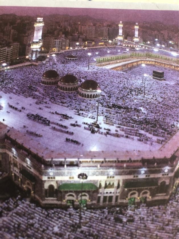 یک فقره فیش حج عمره آلویت ۳۳۳|تور و چارتر|تهران, نیاوران|دیوار