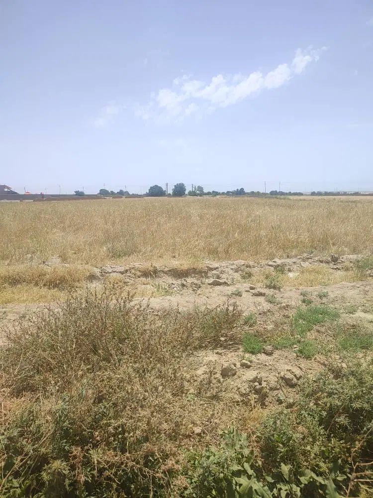 ۳۵۰۰مترزمین کشاورزی متری۴۰۰هزارتومان|فروش زمین و ملک کلنگی|مشهد, سیس‌آباد|دیوار
