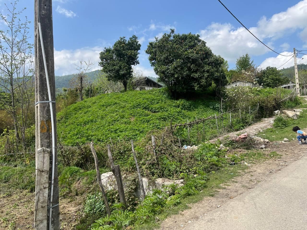 فروش زمین ۷۰۰ متری لوکیشن عالی(روستای لیپا)|فروش زمین و ملک کلنگی|ماسال, |دیوار
