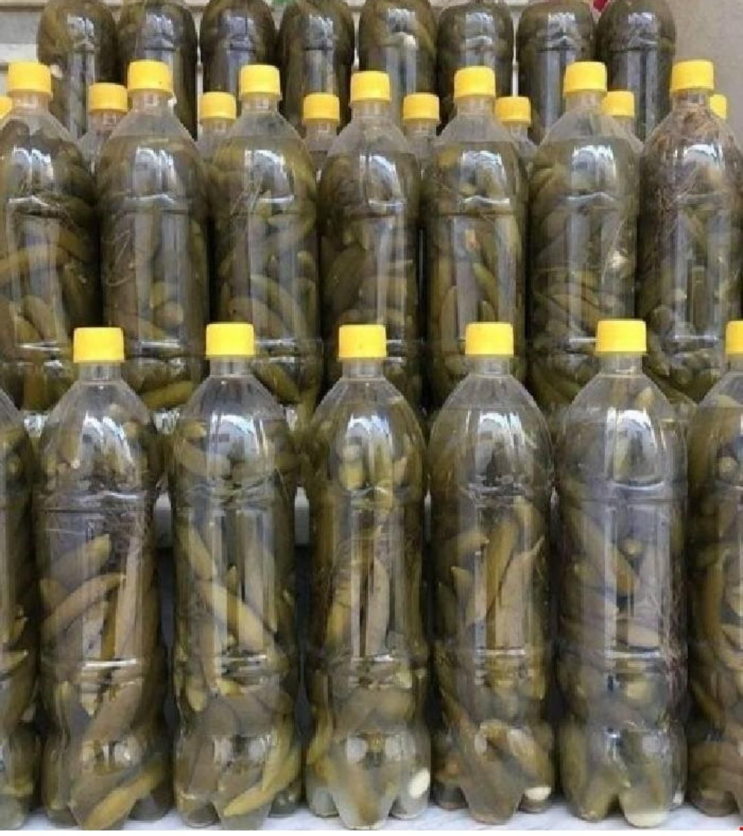 خیارشور بطری|خوردنی و آشامیدنی|تهران, شهرک آزادی|دیوار