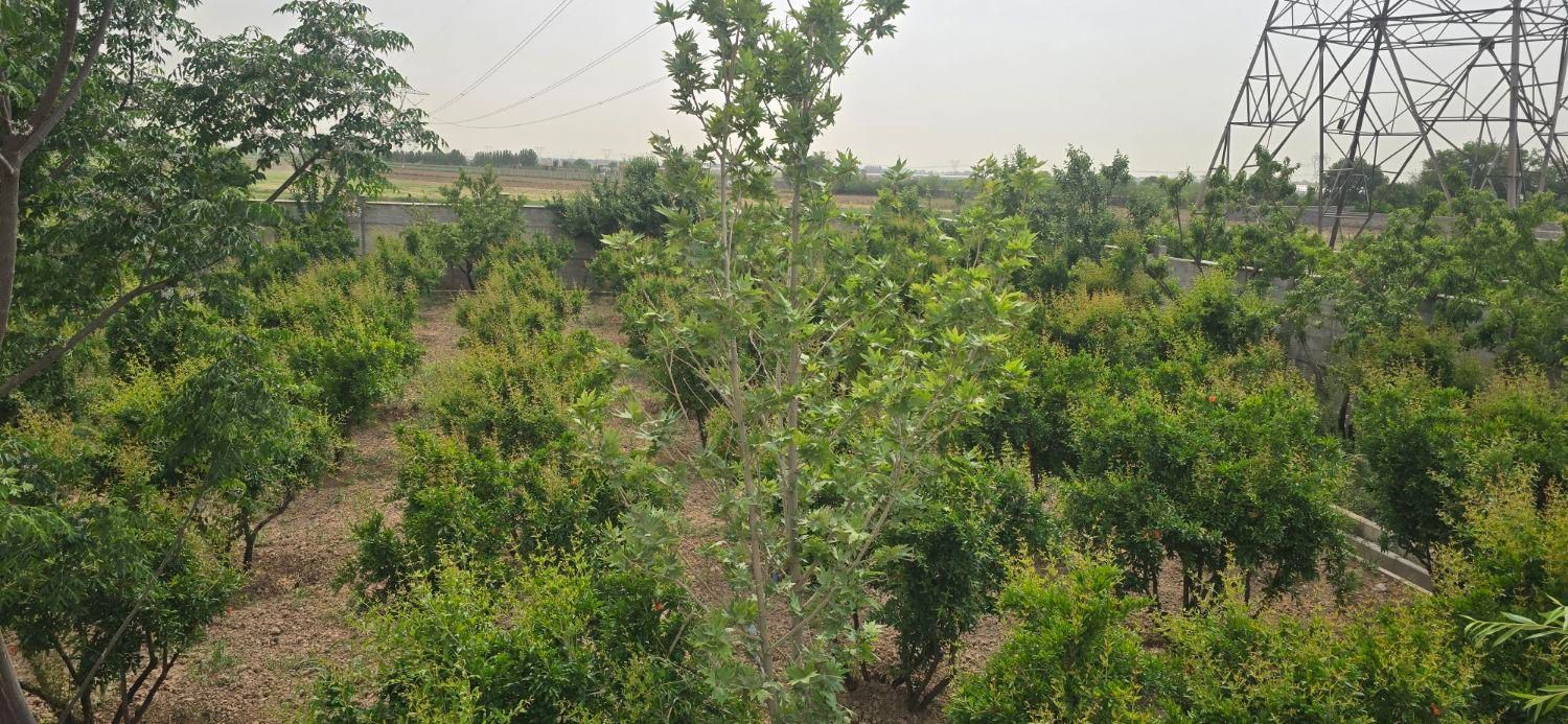 فروش باغ از ۵۴۰۰ متری سند دار|فروش خانه و ویلا|شریفآباد, |دیوار