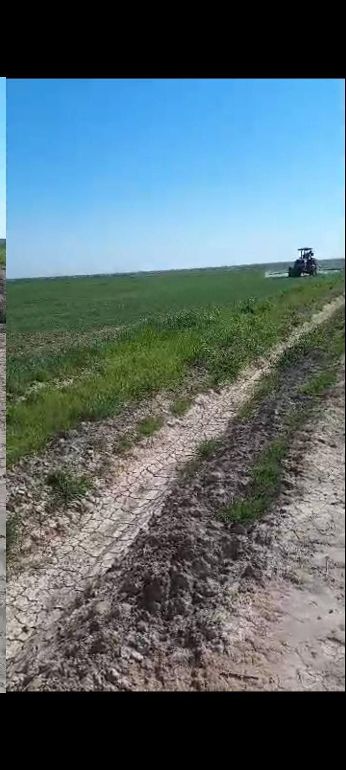 اجاره۱۲هکتارR1|اجارهٔ دفتر صنعتی، کشاورزی، تجاری|امیدیه, |دیوار