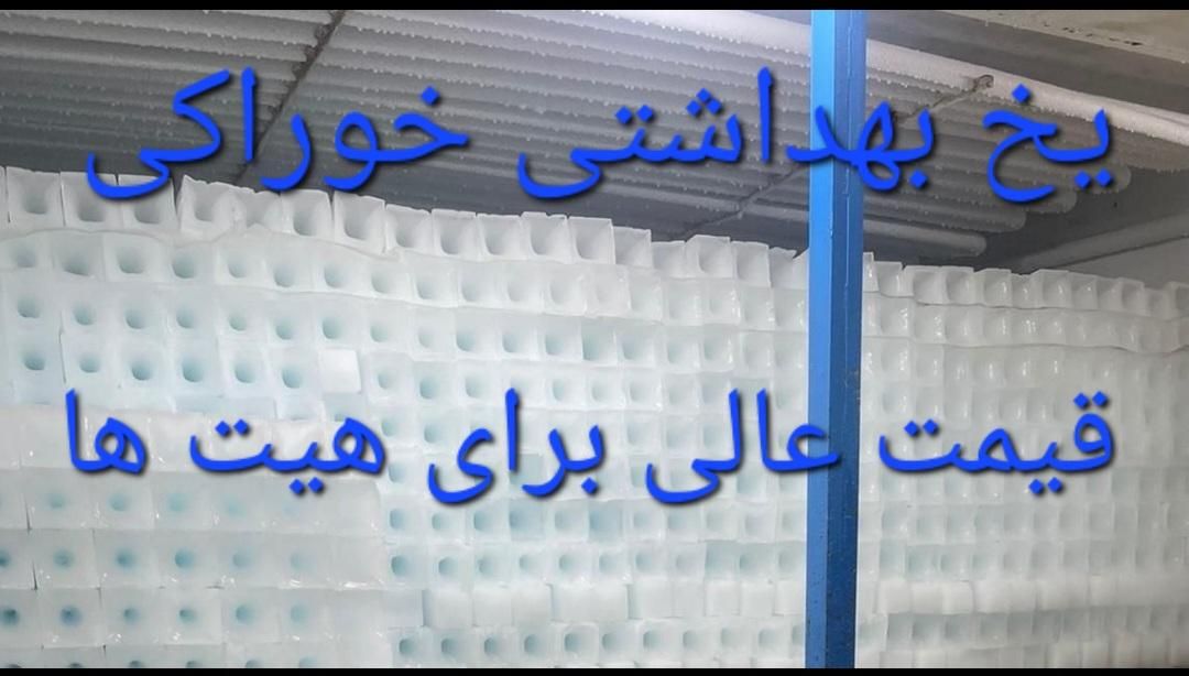 پخش یخ بهداشتی  یخ قالبی برای بتن|خوردنی و آشامیدنی|تهران, آشتیانی|دیوار