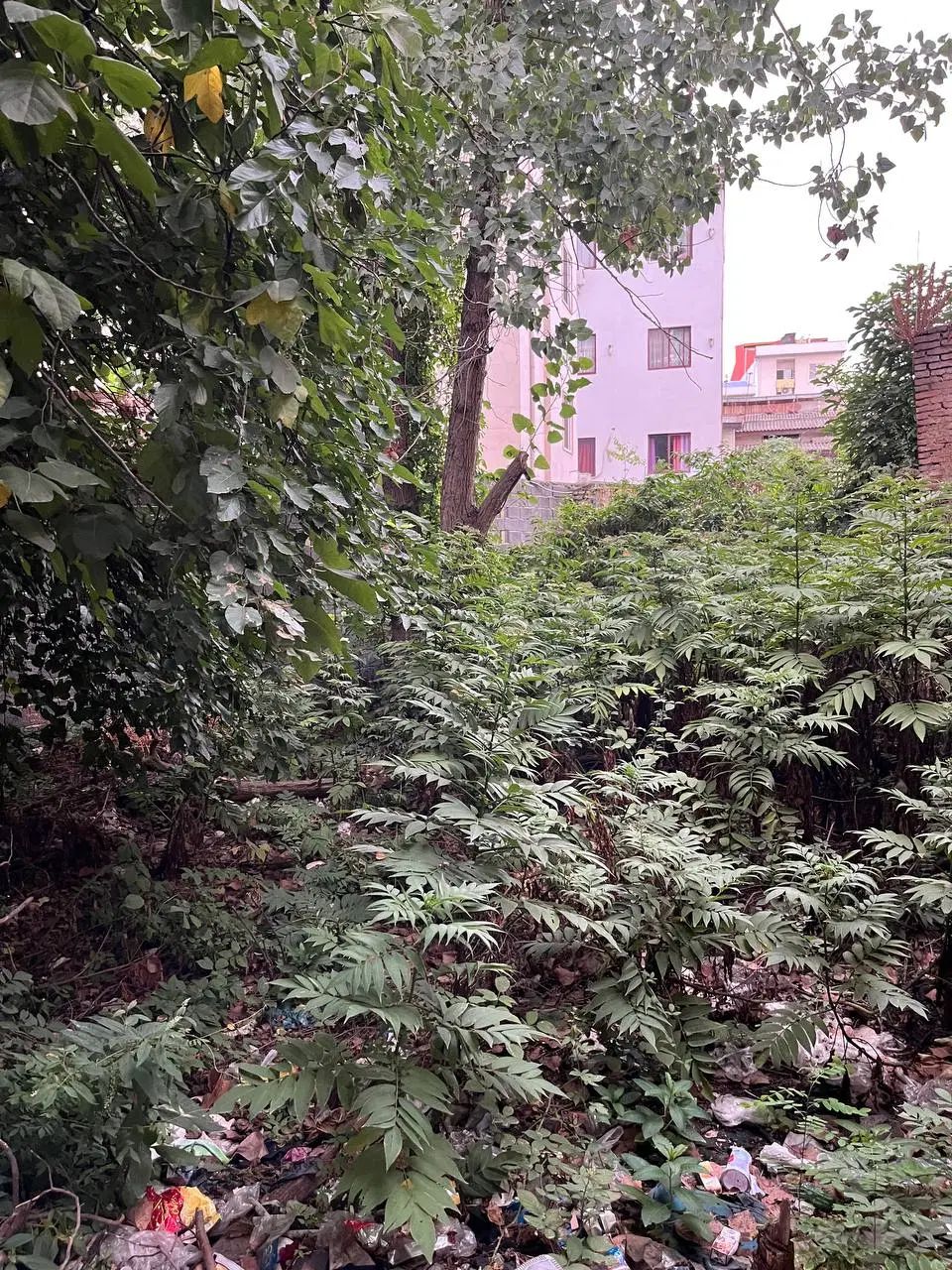 زمین 130 متری لاکانی ۱۷ شهریور|فروش زمین و ملک کلنگی|رشت, چله خانه|دیوار