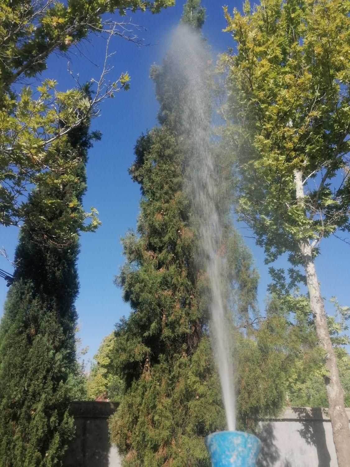 خدمات باغبانی سم پاشی هرس کاشت چمن وبرش درخت تیلر|خدمات باغبانی و درختکاری|شیراز, دشت چنار|دیوار