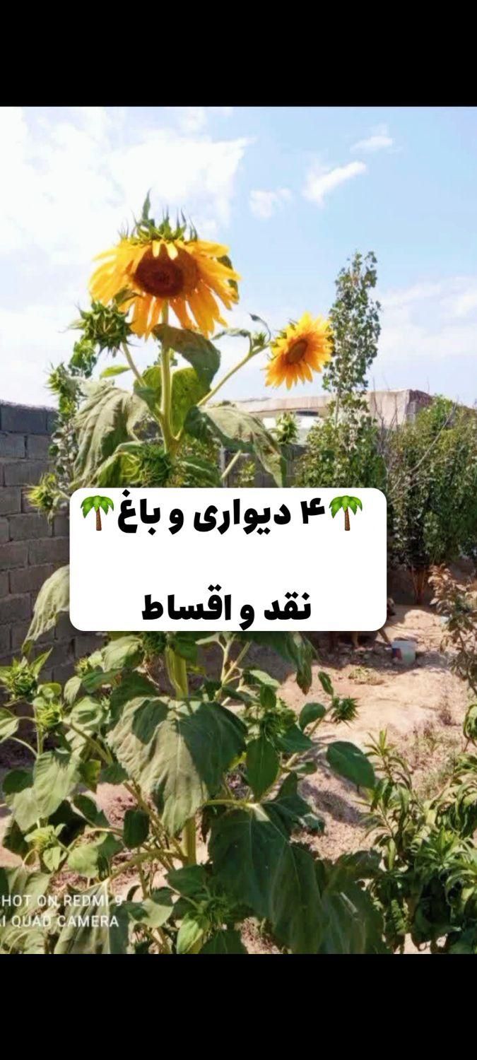 انشعابات کامل/آب/برق/چهار دیواری /اقساطی|فروش زمین و ملک کلنگی|اصفهان, اصفهانک|دیوار