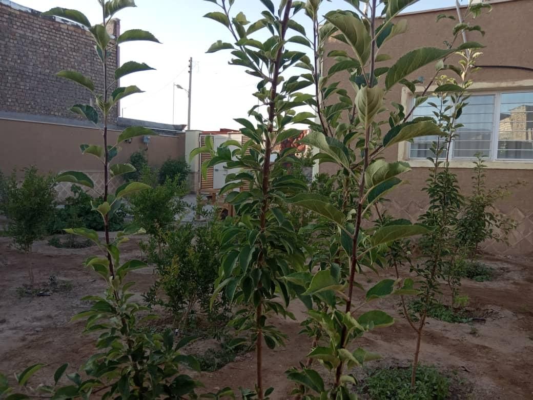 اجاره روزانه خونه باغ|اجارهٔ کوتاهمدت ویلا و باغ|کاشان, خزاق|دیوار