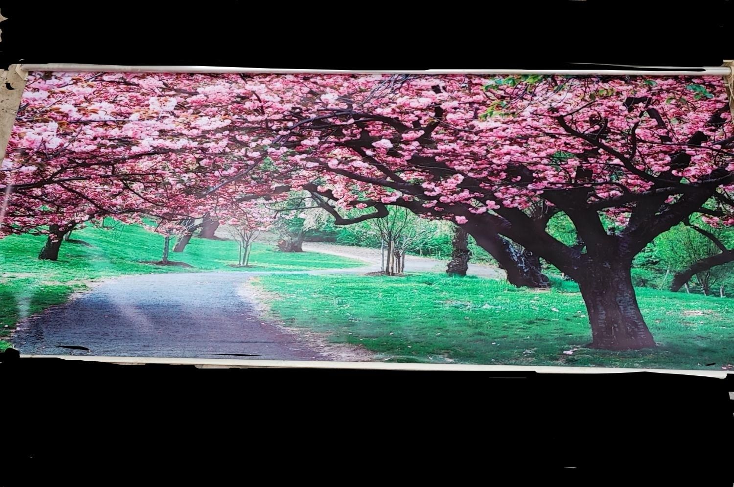 پرده ی جلوی اُپن|پرده، رانر، رومیزی|قم, باغ پنبه|دیوار