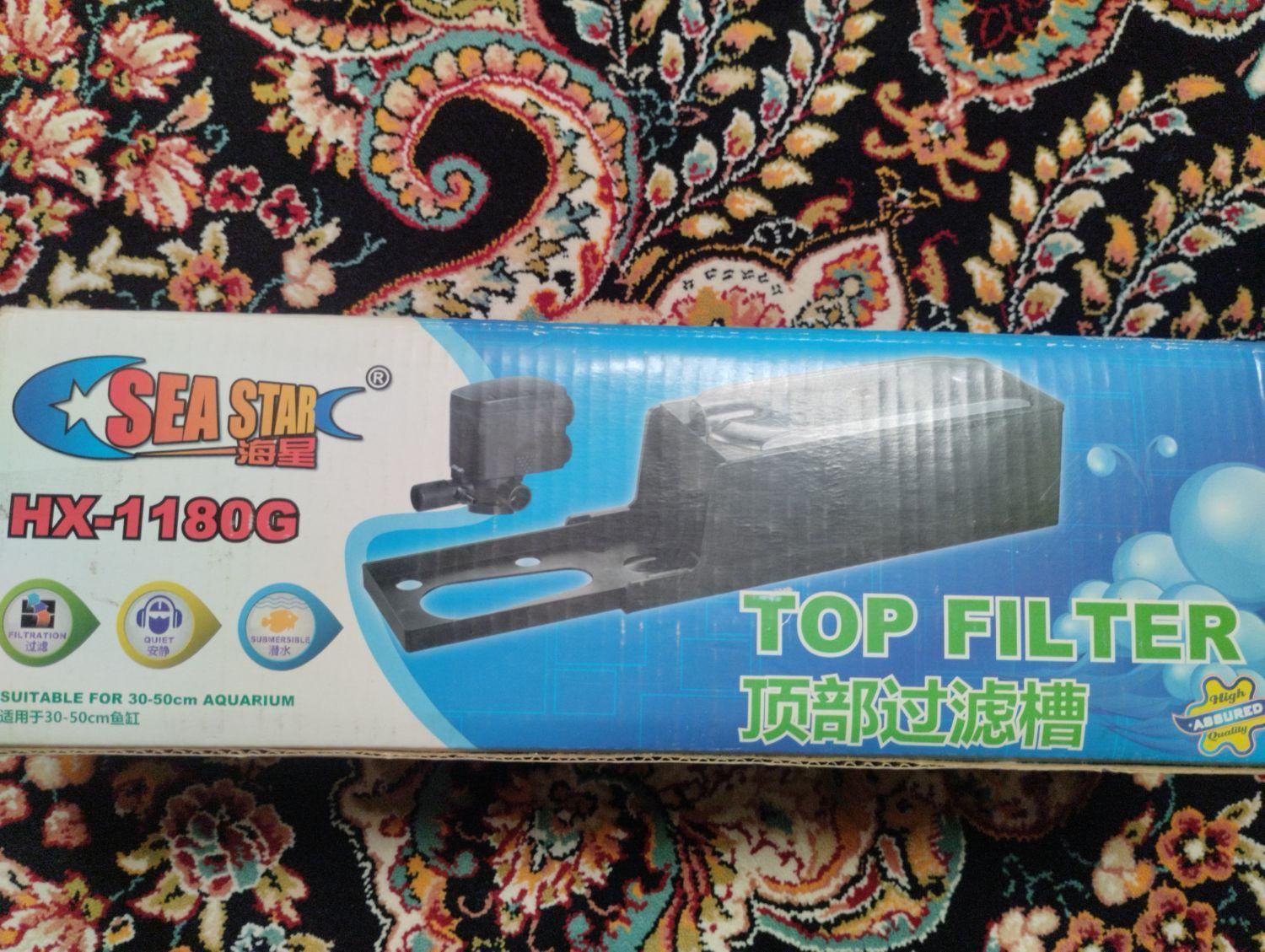 اکواریوم|ماهی|قزوین, |دیوار