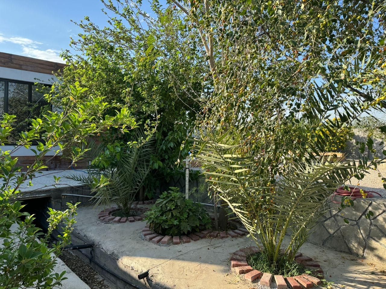 ویلا باغ اجاره ای  چهاراسیاب|اجارهٔ کوتاه‌مدت ویلا و باغ|بهبهان, |دیوار