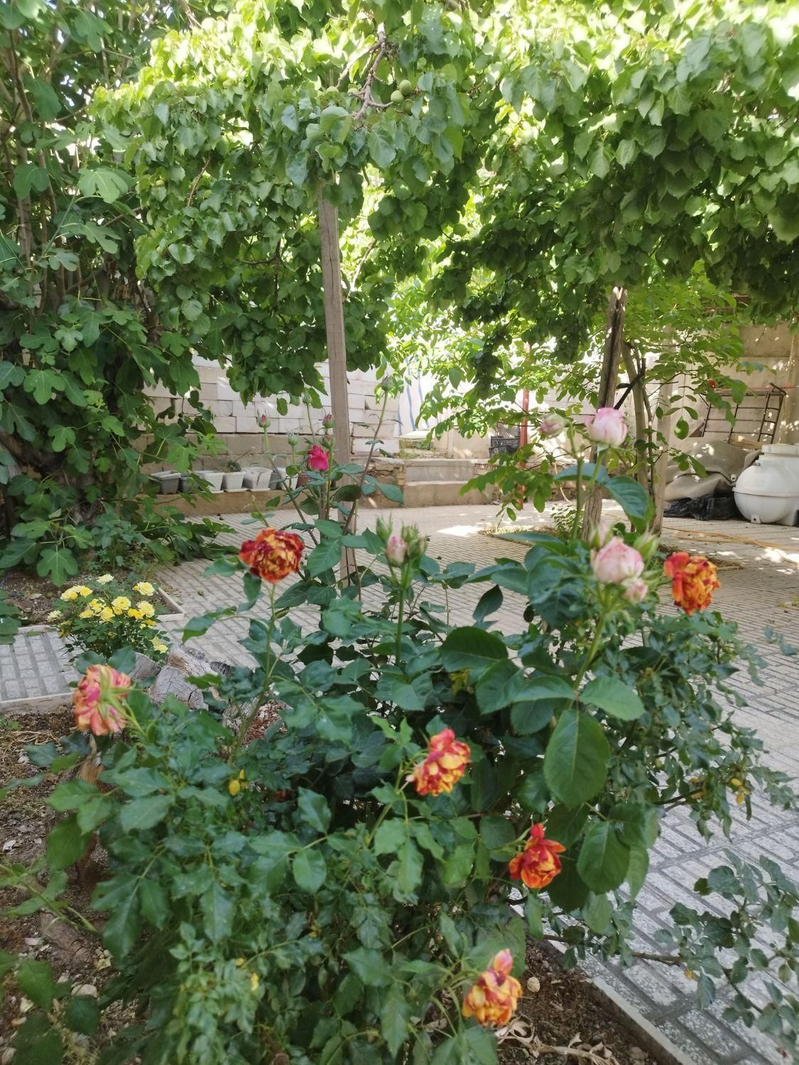 اجاره سوئیت ویلایی سیسخت|اجارهٔ کوتاه‌مدت ویلا و باغ|سی‌سخت, |دیوار