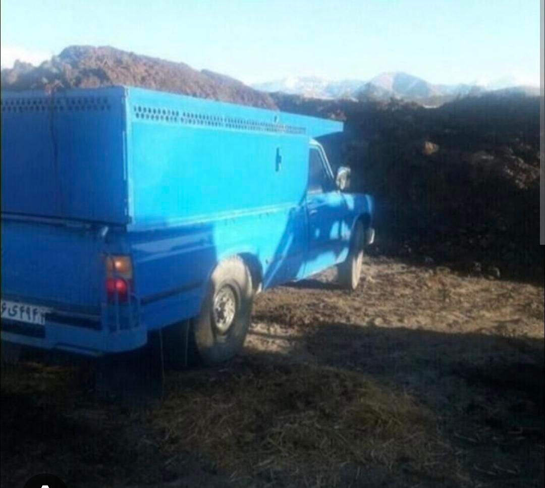 کود حیوانی نیسانی|خدمات باغبانی و درختکاری|فردوس (خراسان), |دیوار