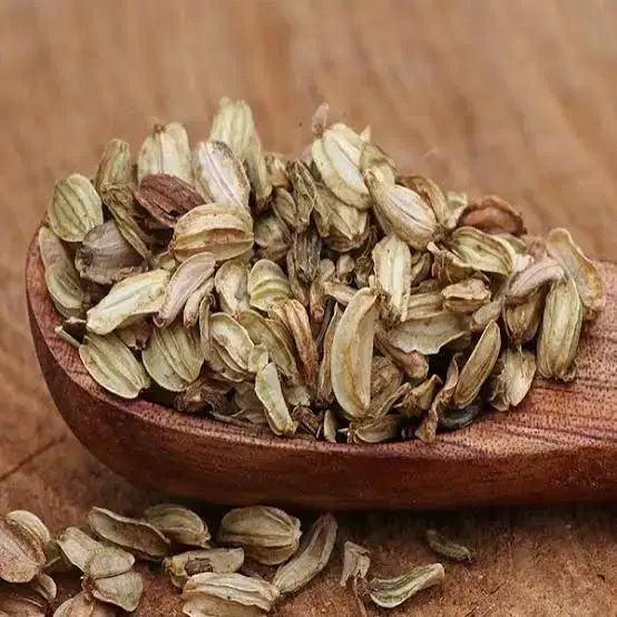 گلپر کوهستان|گل و گیاه طبیعی|تهران, فاطمی|دیوار