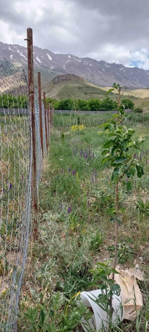 فروش باغچه ۵۶۲ متری ارجمند روستای نجفدر|فروش زمین و ملک کلنگی|ارجمند, |دیوار