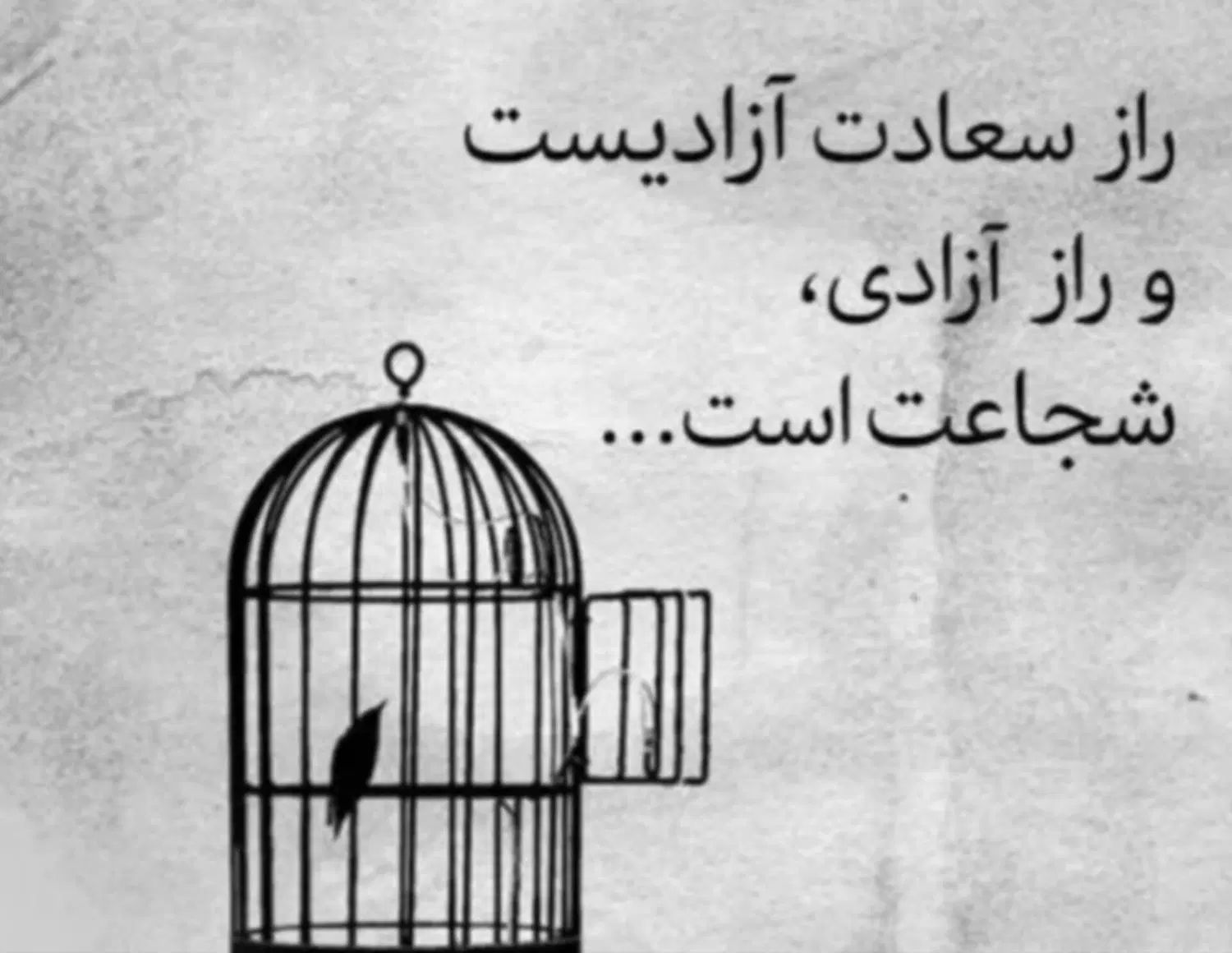 نیاز فوری به وثیقه ۳۰۰ میلیونی برای آزادی|خدمات مالی، حسابداری، بیمه|مشهد, امیر|دیوار