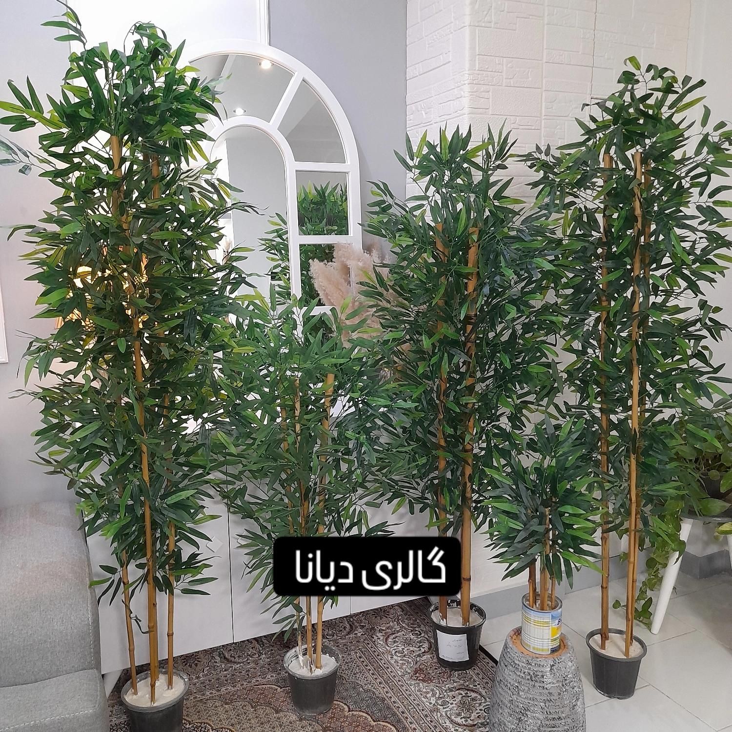 بامبو و بنجامین مصنوعی درختچه درخچه|گل مصنوعی|کرج, حصارک بالا|دیوار
