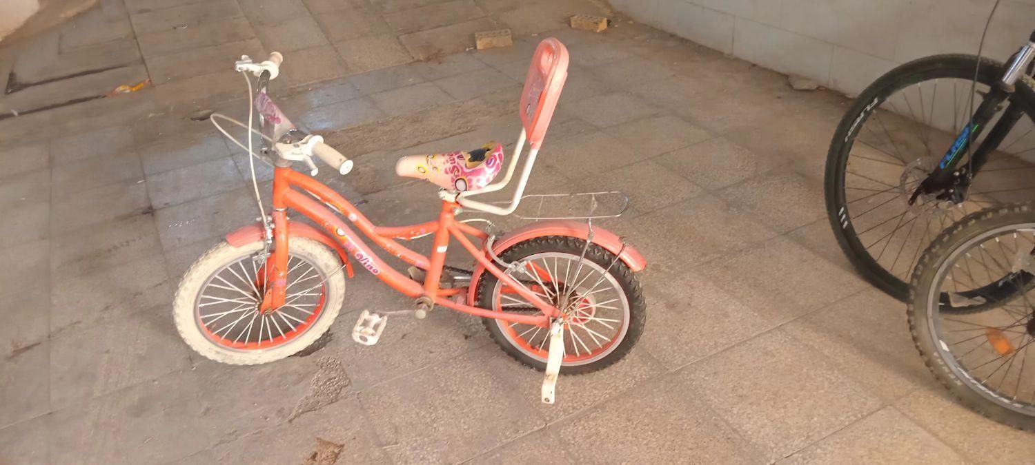 سایز ۱۶|دوچرخه، اسکیت، اسکوتر|ساوه, |دیوار