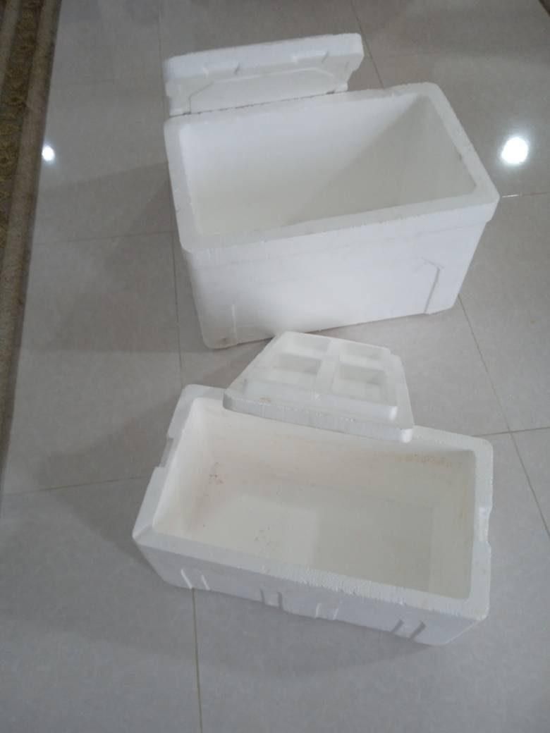 چوب پنبه|کوهنوردی و کمپینگ|بندرعباس, |دیوار