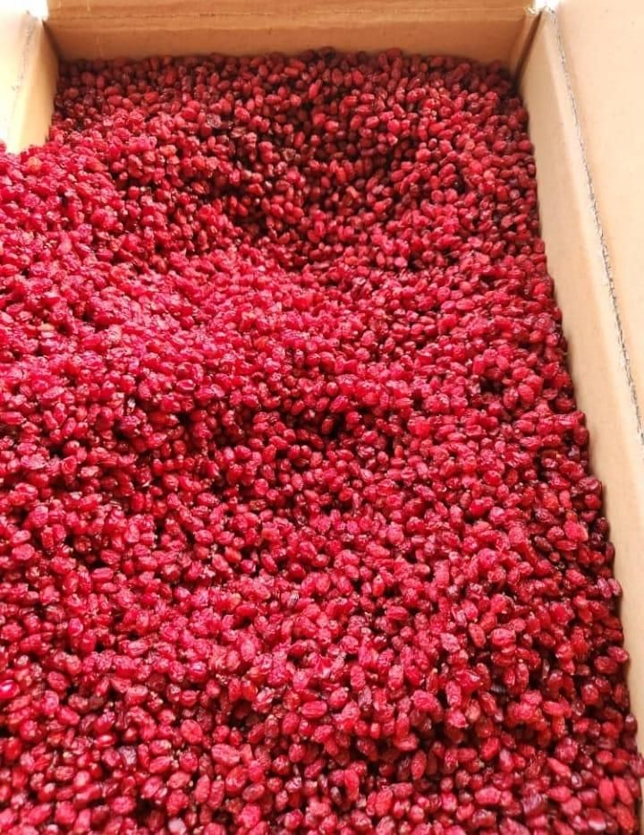 زرشک پفکی درجه ۱ فروش عمده|خوردنی و آشامیدنی|تهران, گیشا|دیوار