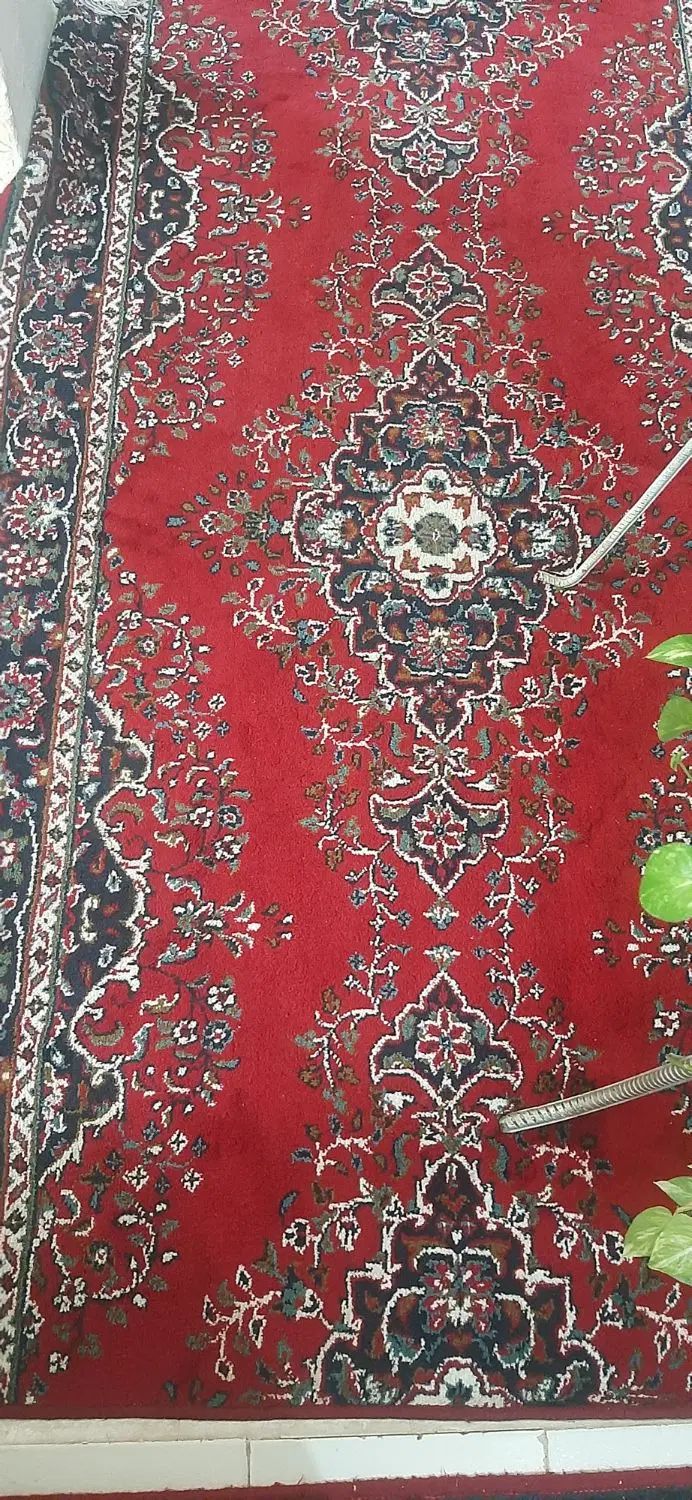 فرش کناره ۱ در ۲۲۰|فرش|کرمانشاه, |دیوار