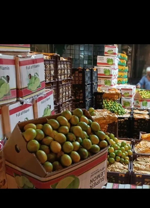 لیمو ترش .لیموشیرین|حراج|تهران, میدان میوه و تره‌بار مرکزی|دیوار
