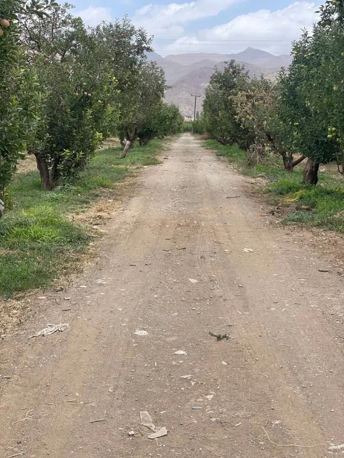 ۵۲۰متر باغ‌زمین سندتک برگ‌جابان‌دماونداقساط۳ماه|فروش زمین و ملک کلنگی|دماوند, دماوند|دیوار