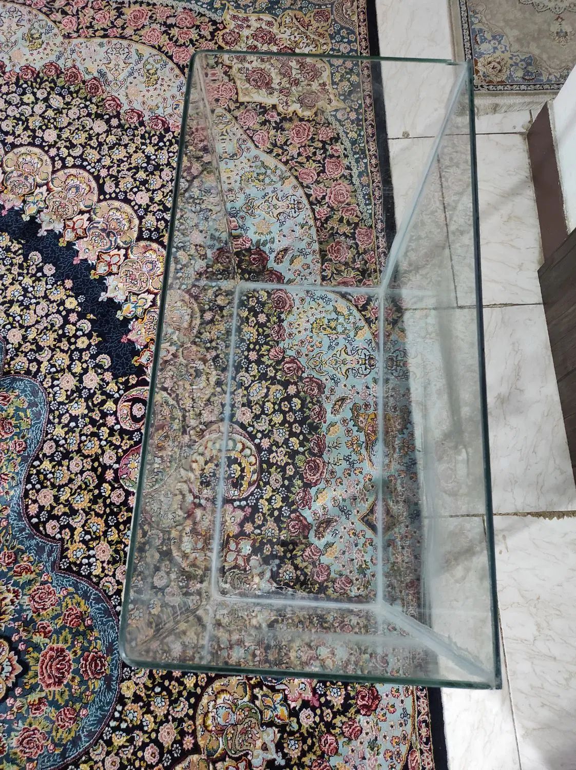 آکواریوم|ماهی|تهران, وردآورد|دیوار
