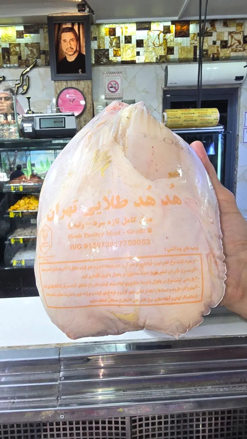ران مرغ سینه فیله اکبر جوجه مرغ جوجه کباب|عمده‌فروشی|تهران, پرستار|دیوار