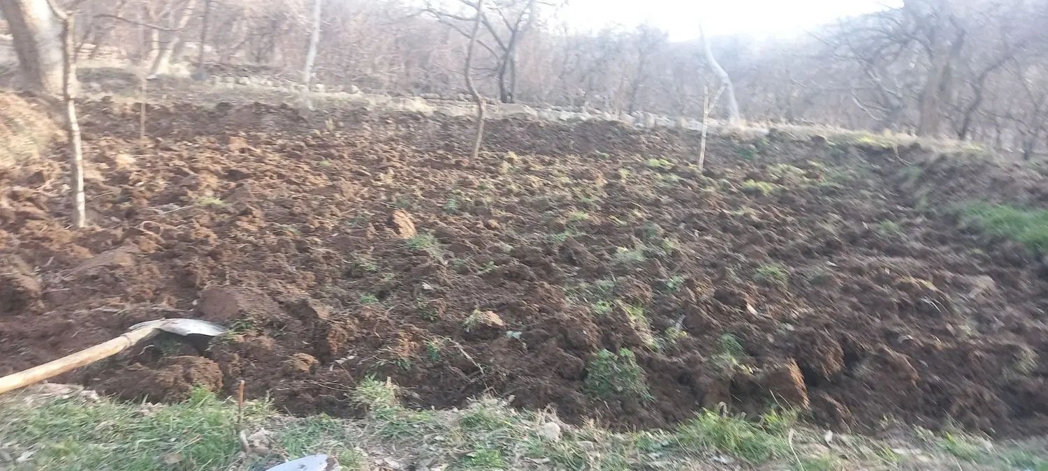 علف.زنی.سمپاشی|خدمات باغبانی و درختکاری|تبریز, |دیوار