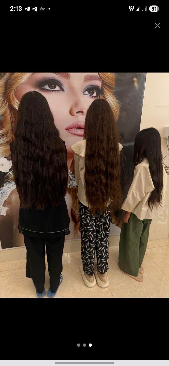 خرید و خریداری موهای طبیعی بانوان شعبه مرکزی|خدمات آرایشگری و زیبایی|اردبیل, |دیوار