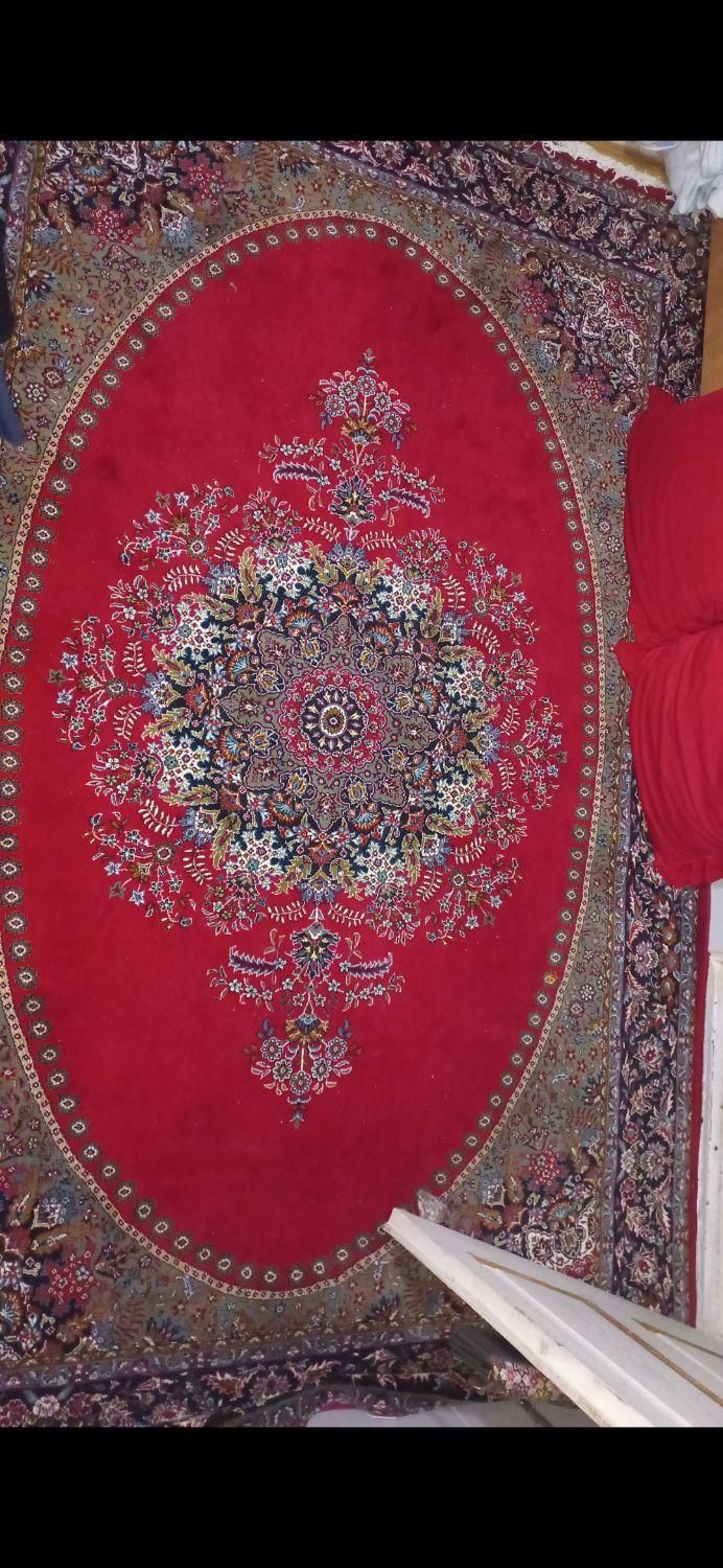 فرش شش متری ضخیم|فرش|قزوین, |دیوار