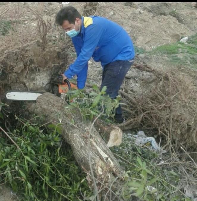 درخت بری ،رایگان قطع،بریدن درخت،هرسکاری اره|خدمات باغبانی و درختکاری|اهواز, پادادشهر|دیوار