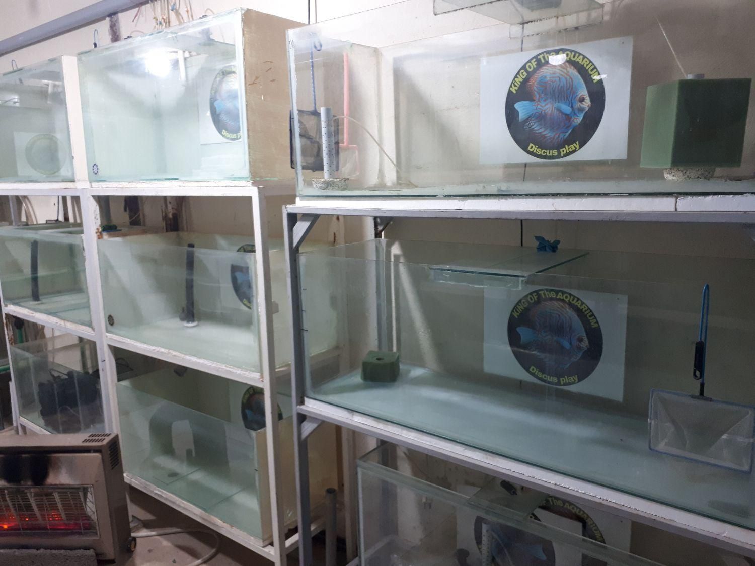 لوازم و تجهیزات سالن تکثیر و پرورش دیسکس|ماهی|اصفهان, باغ زیار|دیوار